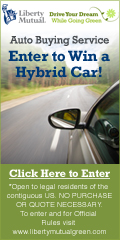 120x240 LM Hybrid Car