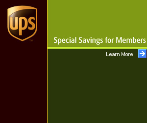 UPS 300